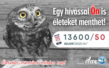 Egy hívással Ön is élteket menthet